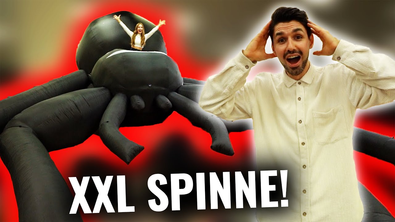 PRANK an DIMA mit einer RIESEN XXL SPINNE! || VLOG 358