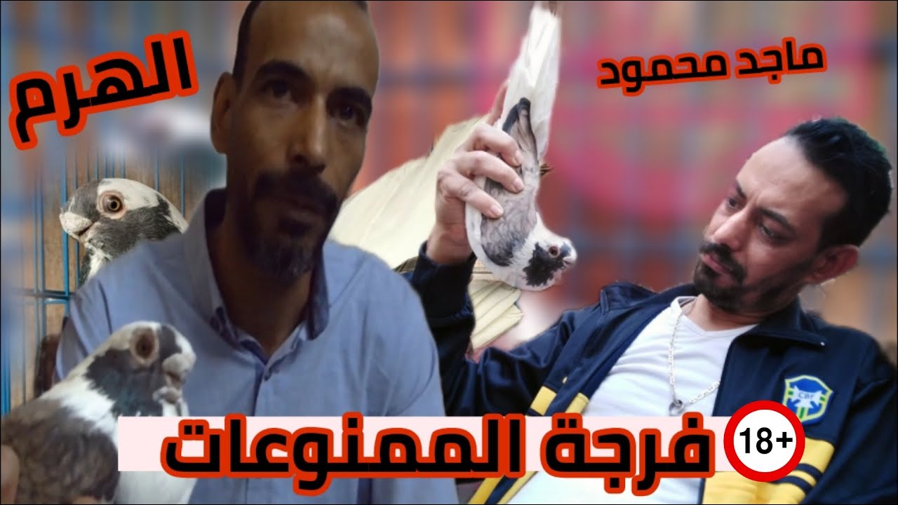 فرجة الممنوعات من على سطح ماجد محمود& محمد الهرم#لوفت_عمرو_اشرف