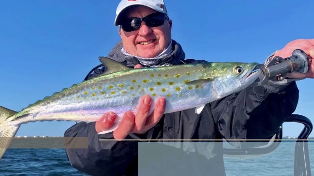 10 TYPES OF MACKEREL FISH VARIETIES
