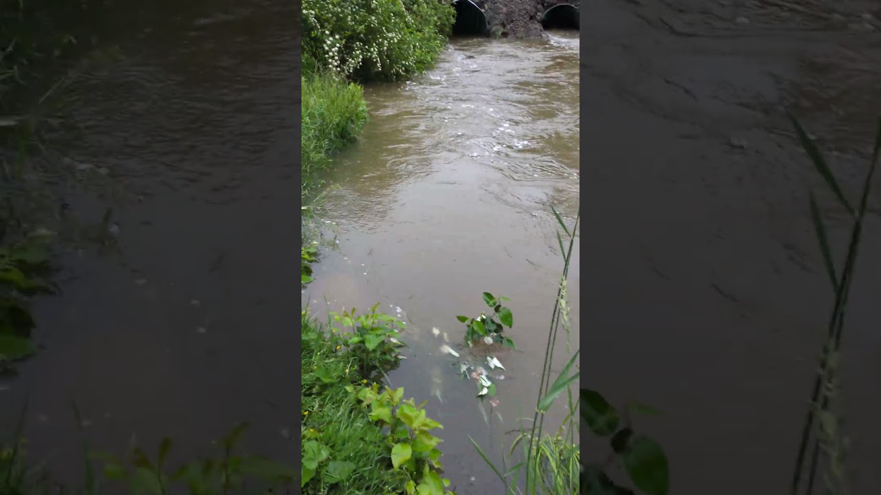😱 RIVER ABOUT TO OVERFLOW 😧