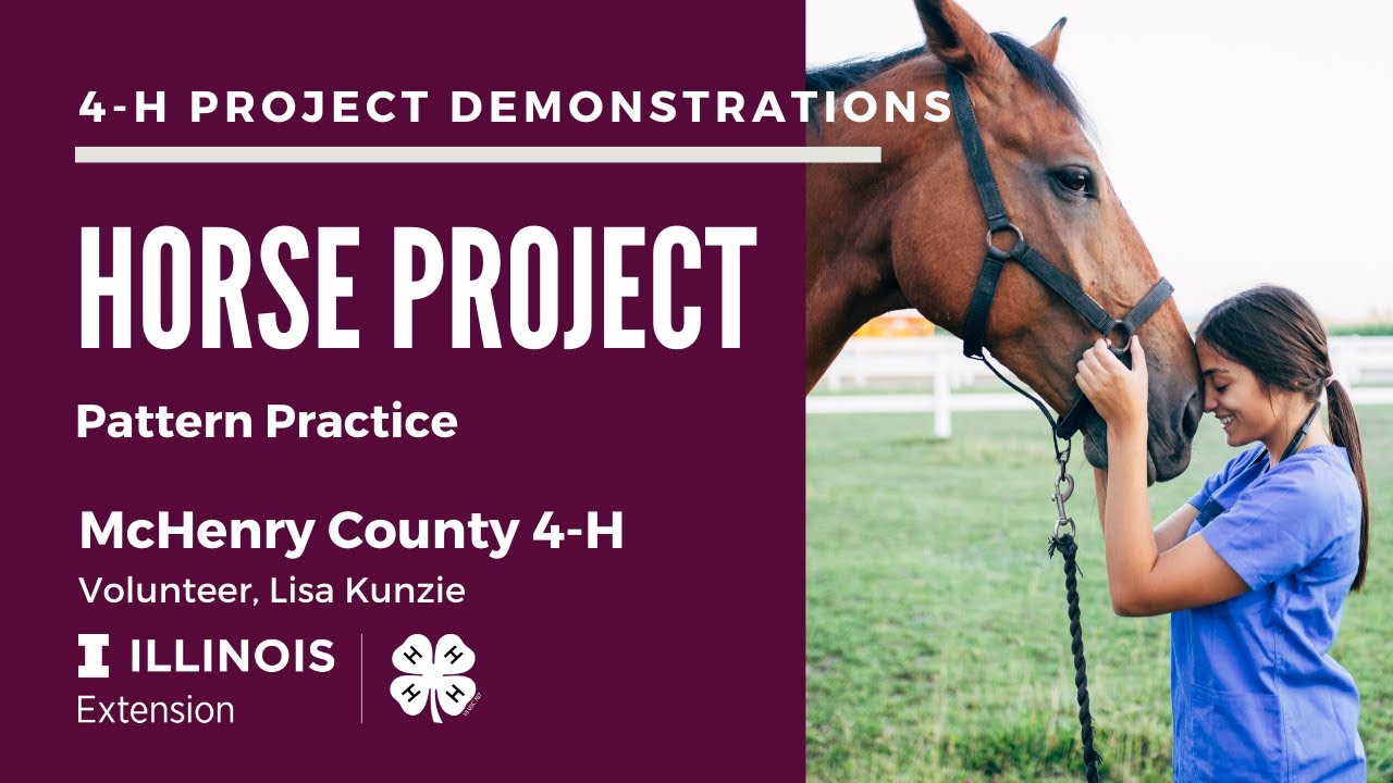 4-H Horse Project - Pattern Practice