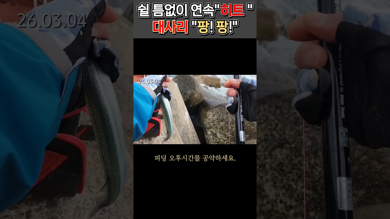 짬낚시 왔다가 난리났다｜연속 히트 #바다낚시 #학꽁치낚시 #포항권 포인트