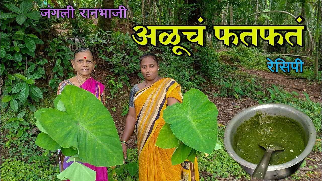 जंगलातील अळूची भन्नाट आंबटगोड रेसिपी|जंगलातील अळू आणून बनवलं 