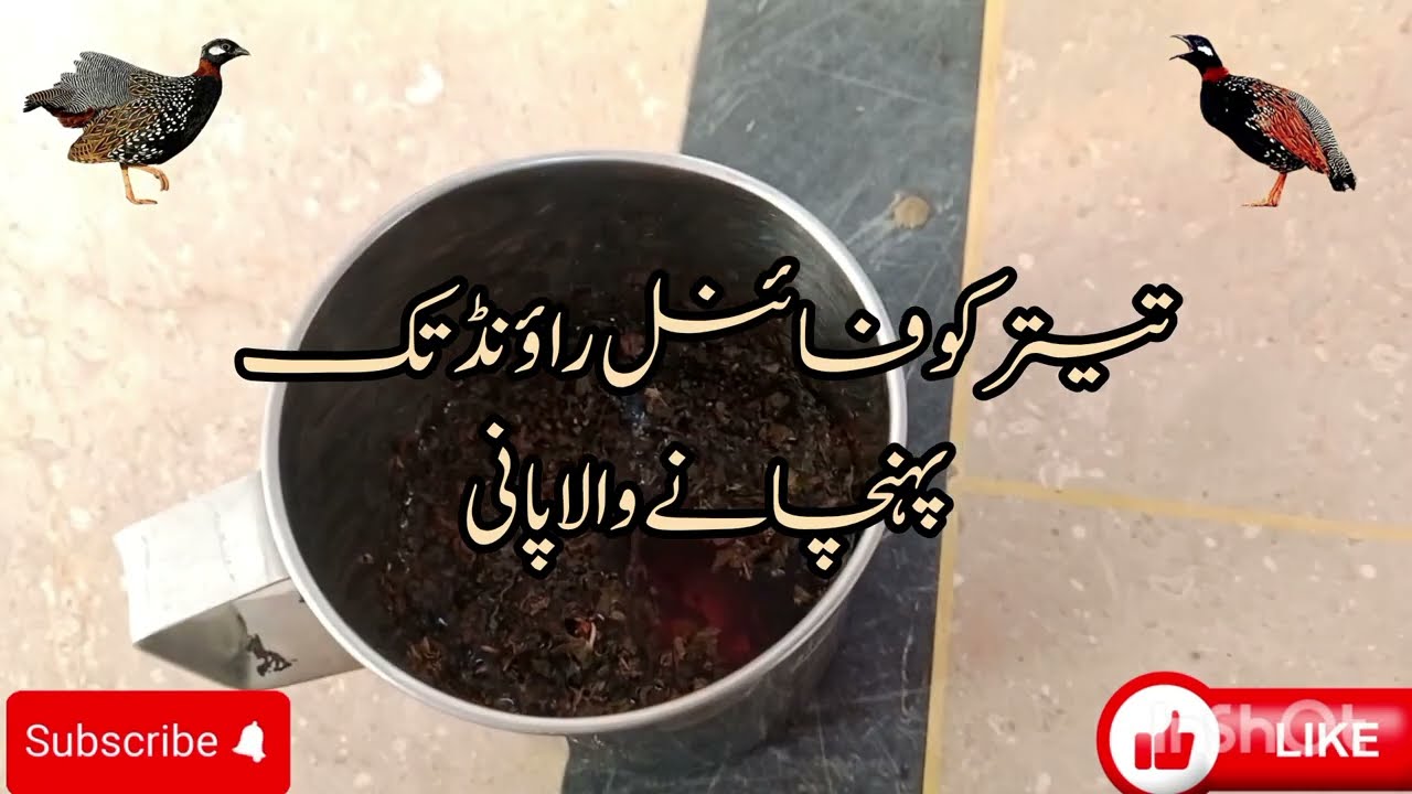 Kala Teetar Ko Chakri Say Pehlay Ye Pani Lazmi Pilain