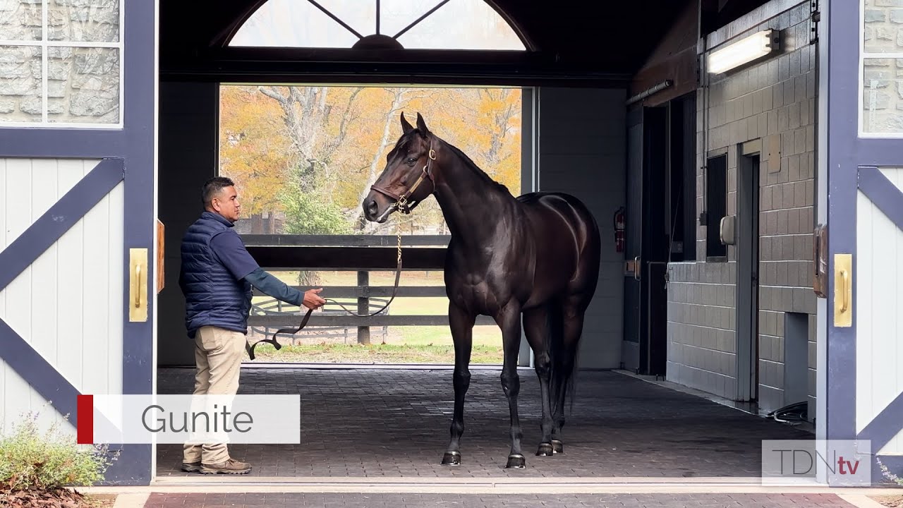 Gunite Follows Fellow Winchell Colorbearer to Ashford