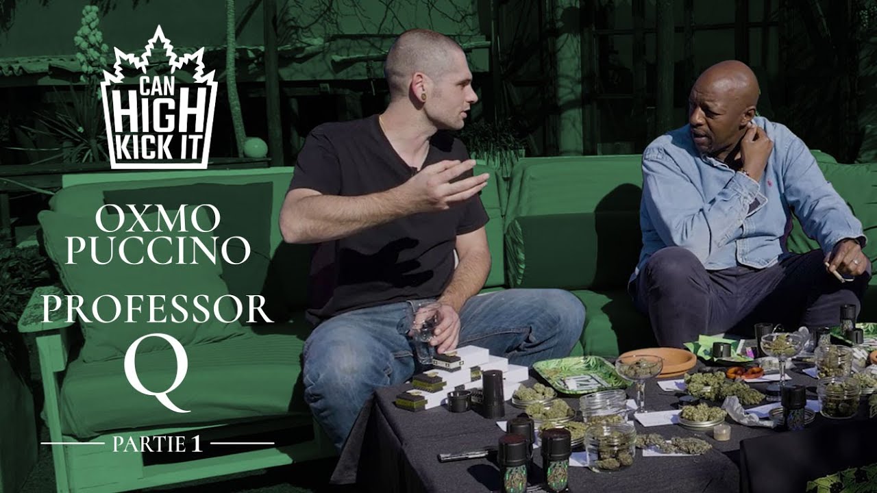 Les secrets de la culture aux USA (feat.@oxmopuccinoofficiel& Professor Q)