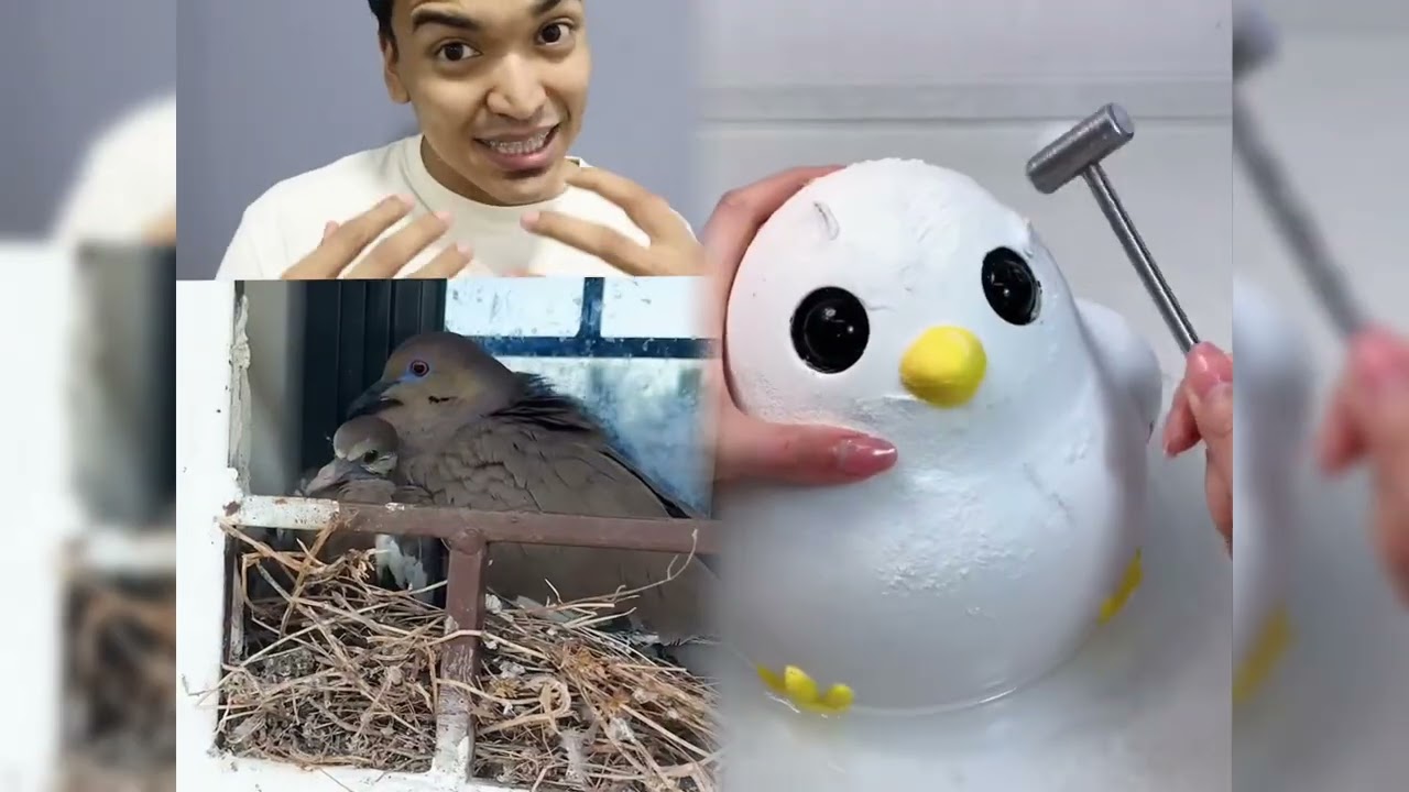 #pov #skit #funny #acting #story#fyp #foryou#foryoupage #fyp シ #fypage #duet #viral #tools
