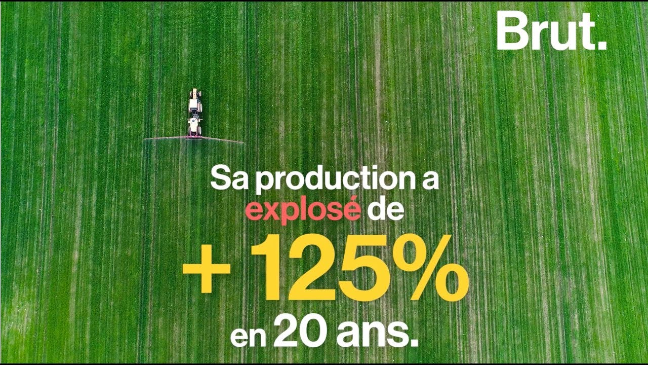 La culture intensive de soja ravage l'Amazonie