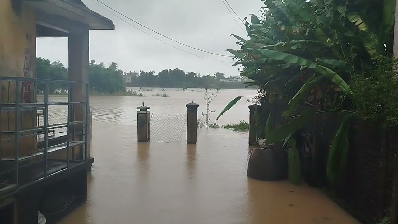 Những video ngày lũ...