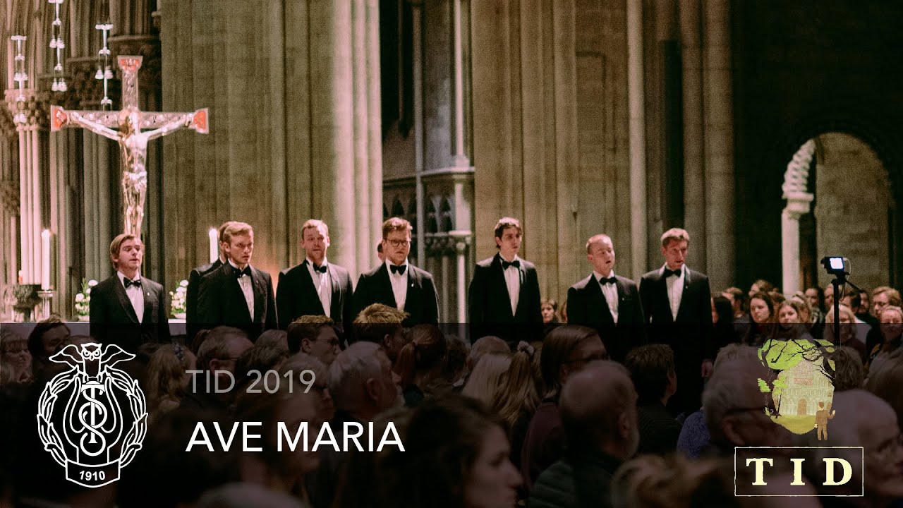 Ave Maria (Angelus Domini) - Trondhjems Studentersangforening