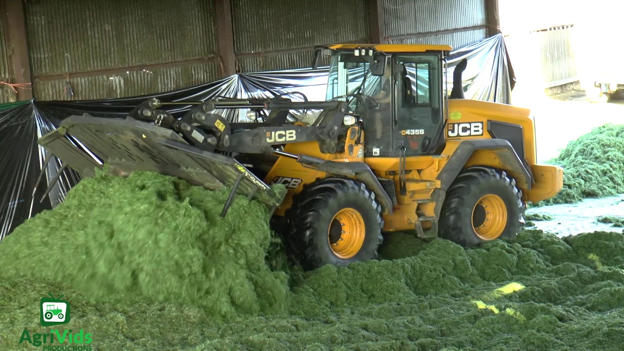 Silage 2018. JCB 435S On The Pit
