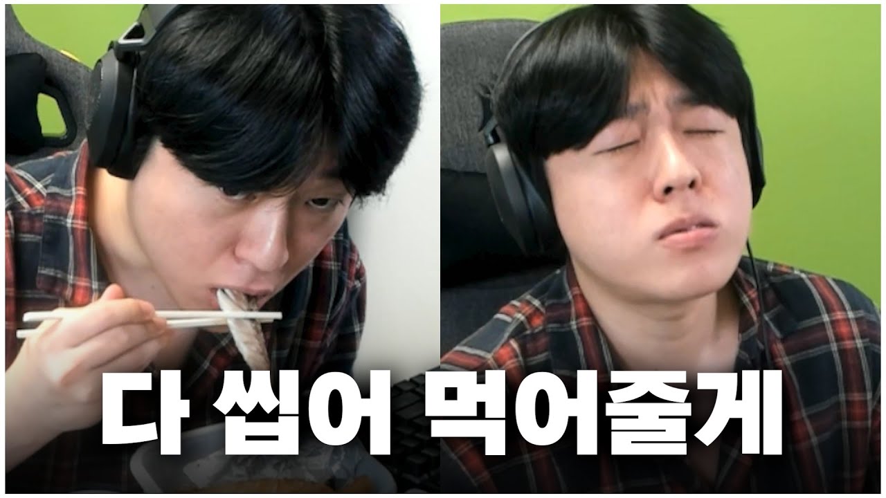 이분 대체 왜 먹방 스트리머 안 하는 건가요?