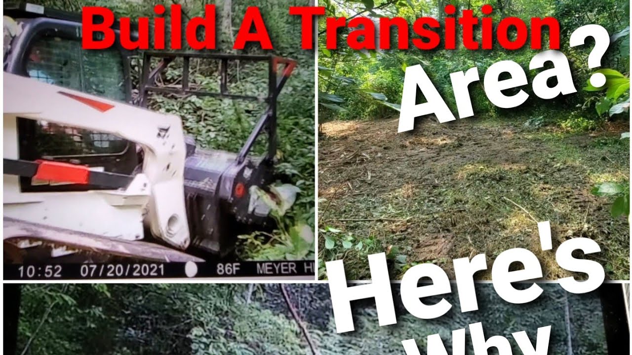 How to: and Why you should Create a Whitetail Transition Area