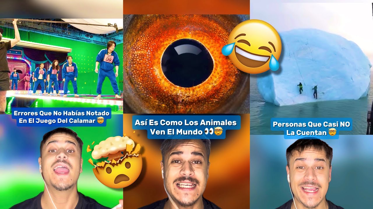 Los Mejores Shorts Dani Itss 2025