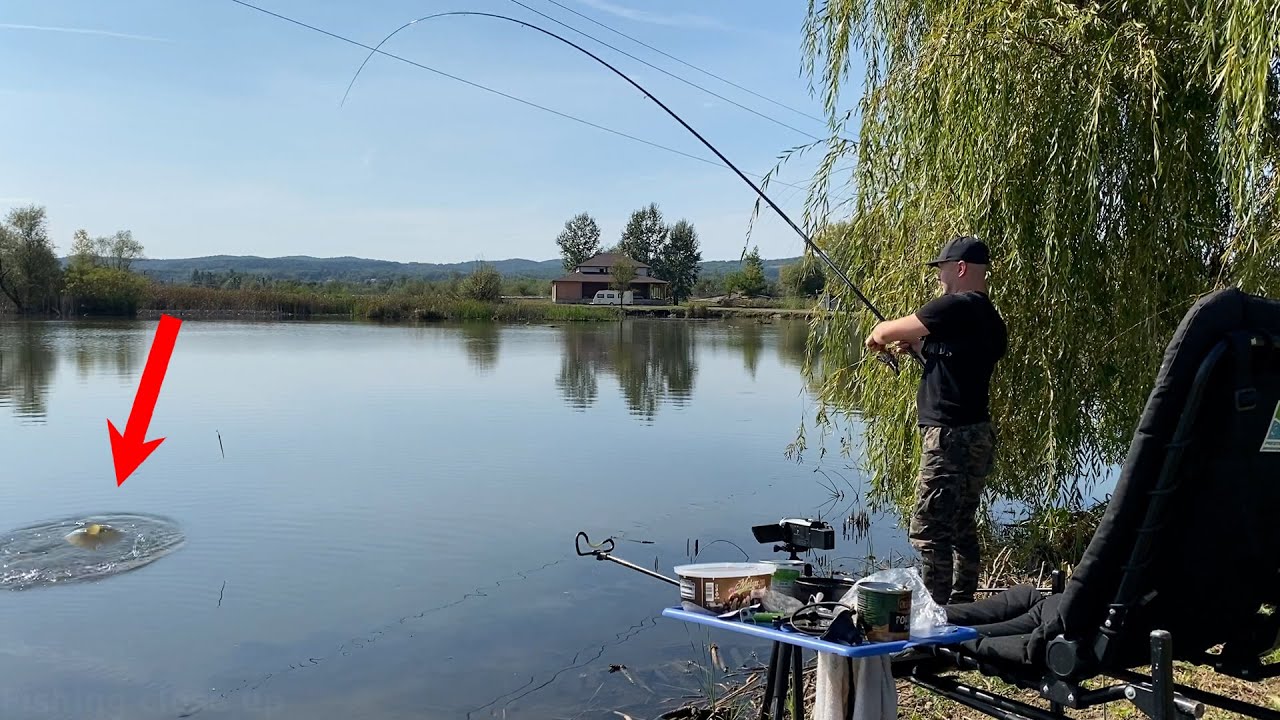 I fished for Carp and had a surprise...The Best Fishing