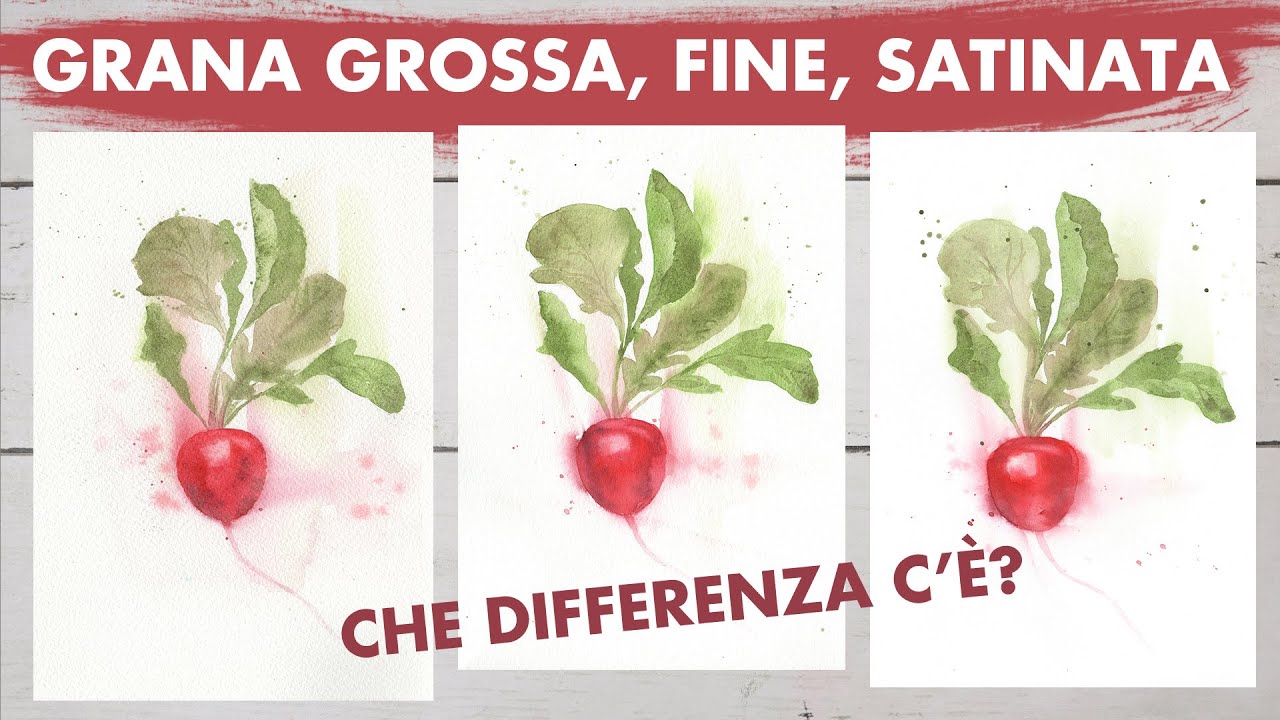 Diversi tipi di carta per acquerello e quale scegliere 🎨🖌