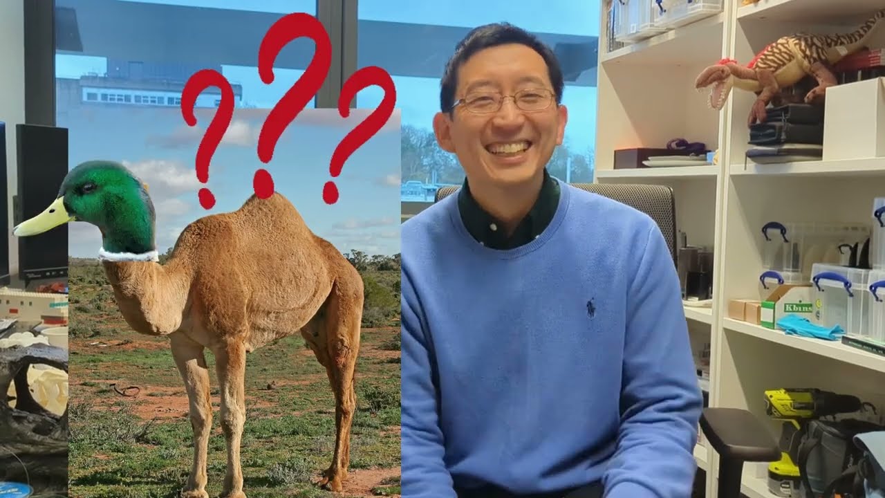 Top three dinosaurs | Sakamoto Talks Biology