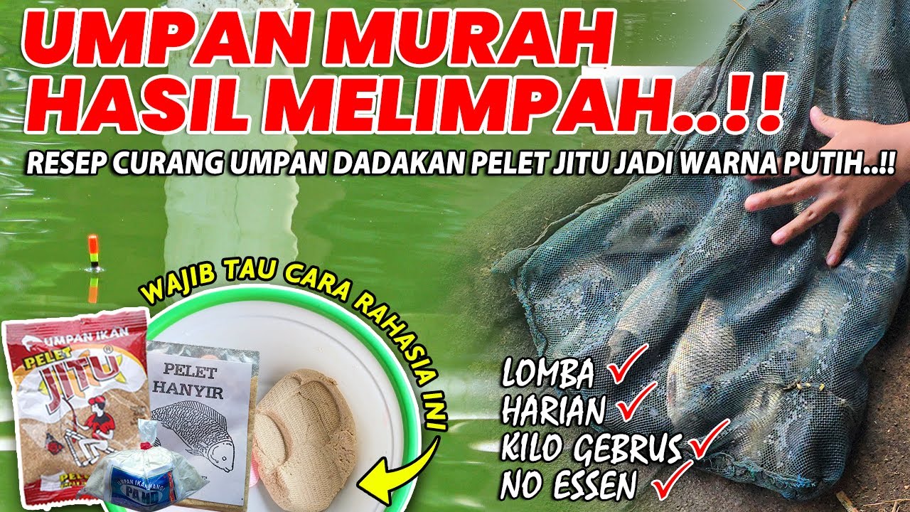 CARA JITU RAHASIA UMPAN PELET JITU PUTIH !! RESEP UMPAN IKAN MAS DADAKAN SPESIAL HARIAN / GEBRUS ❗❗