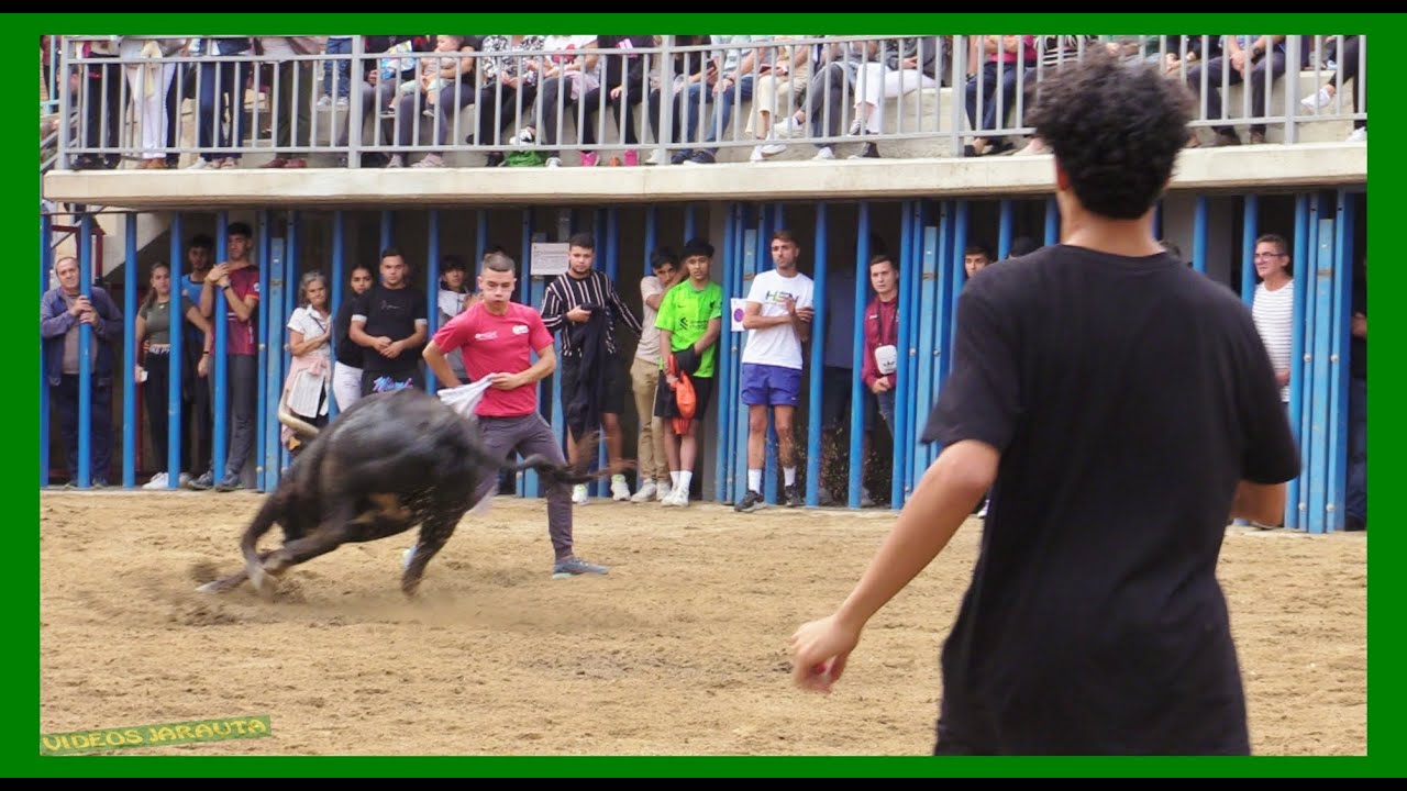 MALÓN ( ZARAGOZA ) TARDE VACAS EN PLAZA ( SABADO 14 OCTUBRE 2023 ) GANAD. MURILLO CONDE