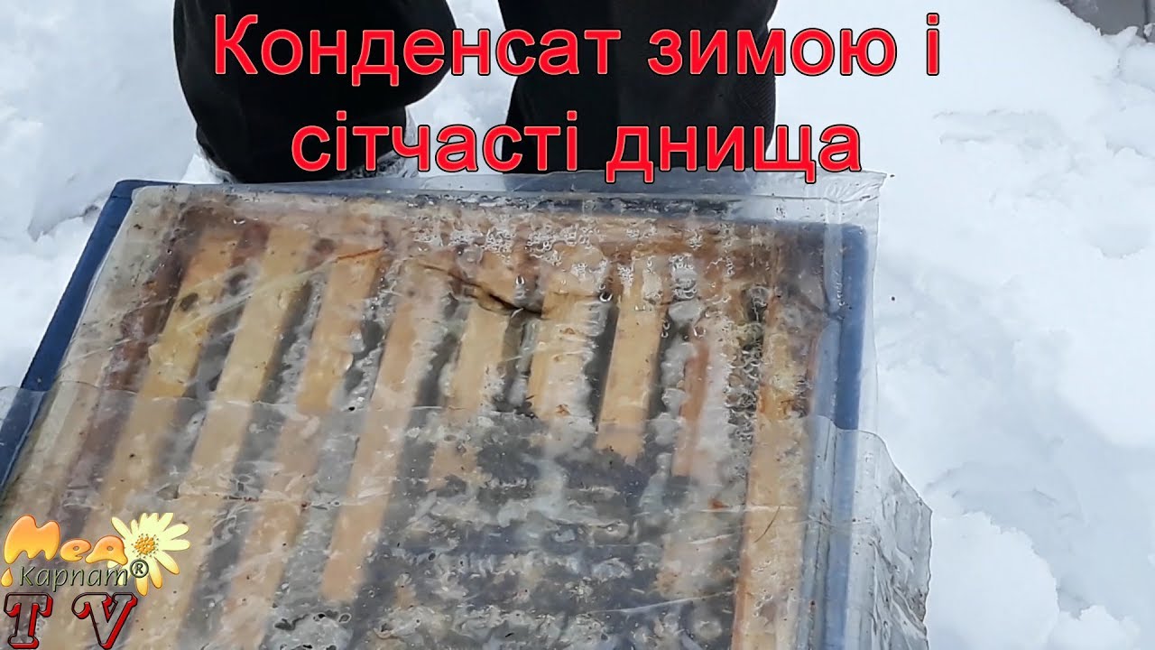 Термінова зміна вентиляційного режиму гнізда зимуючих бджіл .
