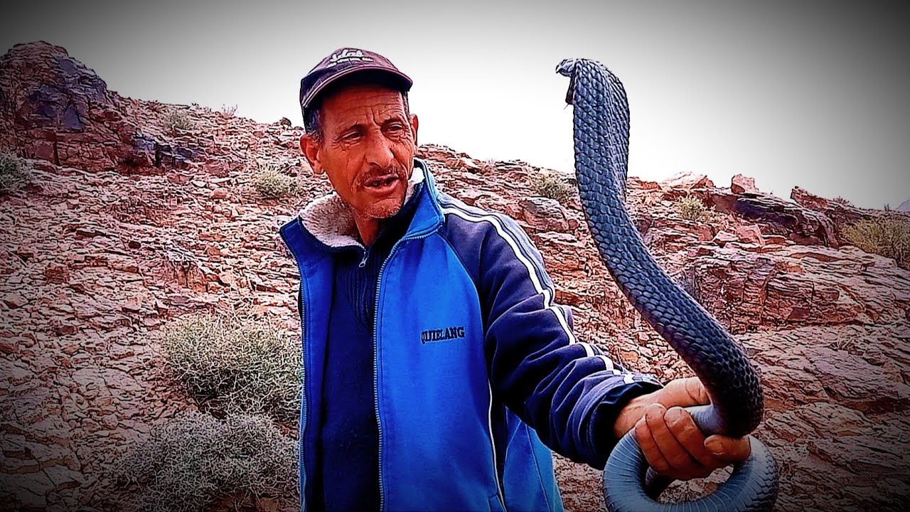 العساوي عابد المشهور الذي حير ناسيونال جيوغرافيك ابوظبي SNAKE MAN ab