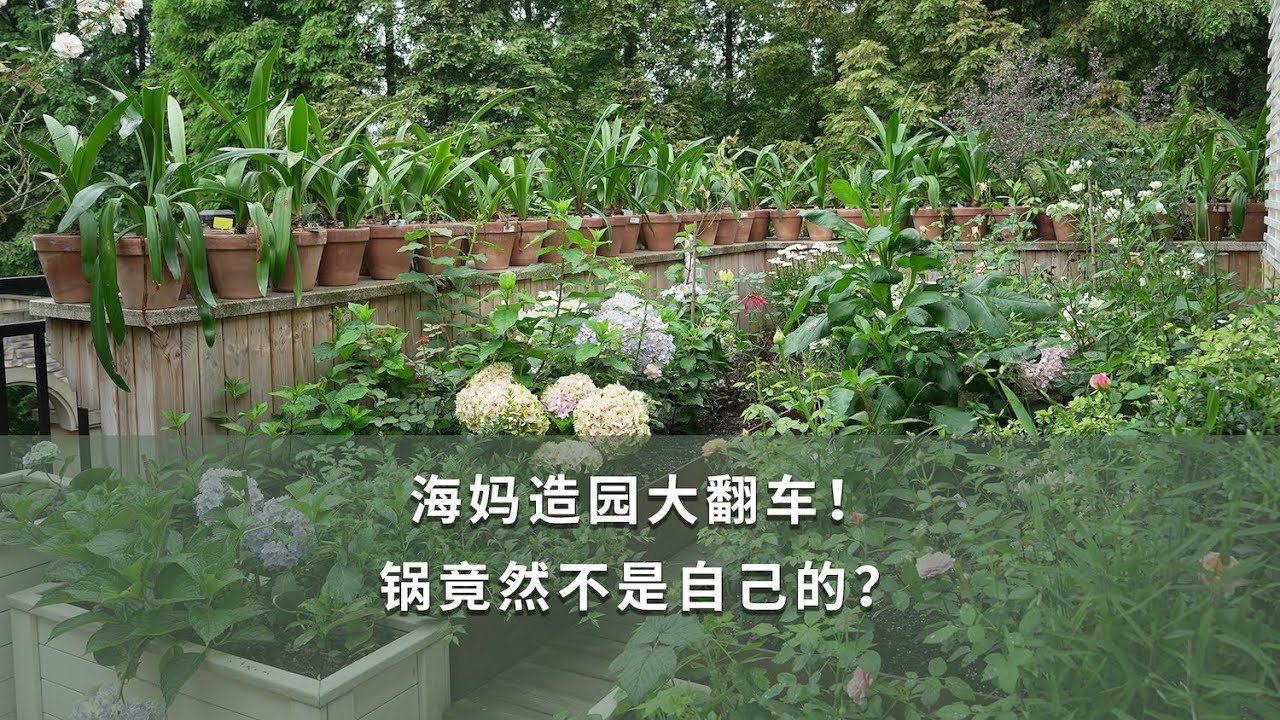 【海媽園藝生活25】海媽造園大翻車！鍋竟然不是自己的？|Garden Building Problems
