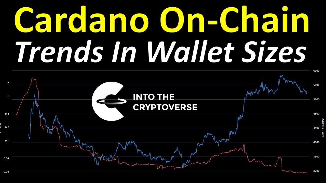 Cardano: Trends In Wallet Sizes