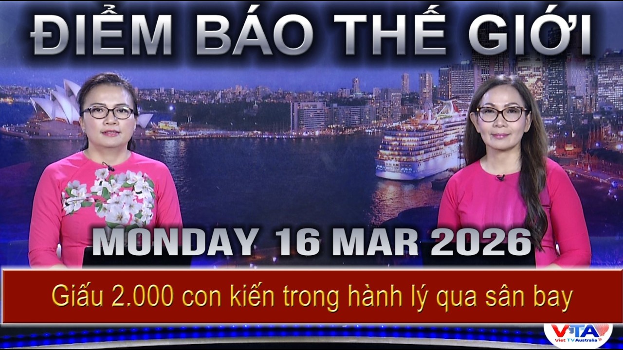 ĐIỂM BÁO THẾ GIỚI - 16/03/2026:  Giấu 2.000 con kiến trong hành lý qua sân bay