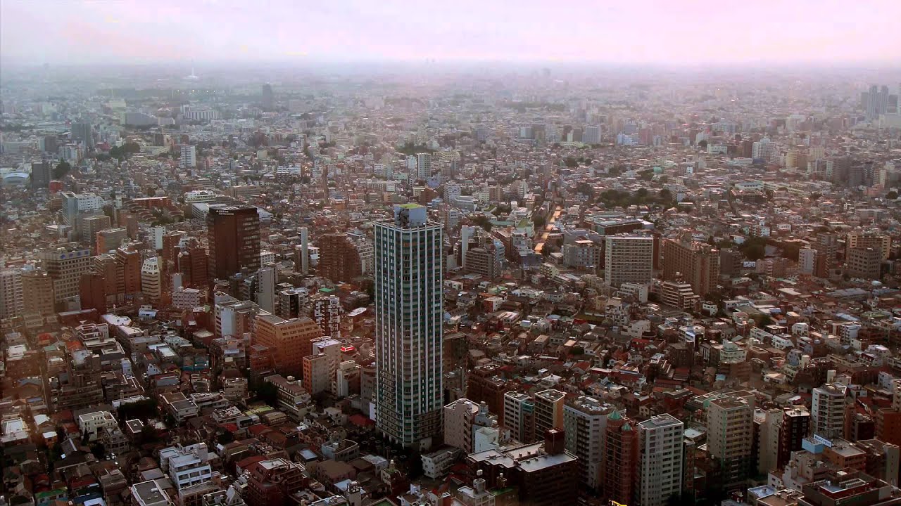 Tokyo City Hall （都庁）