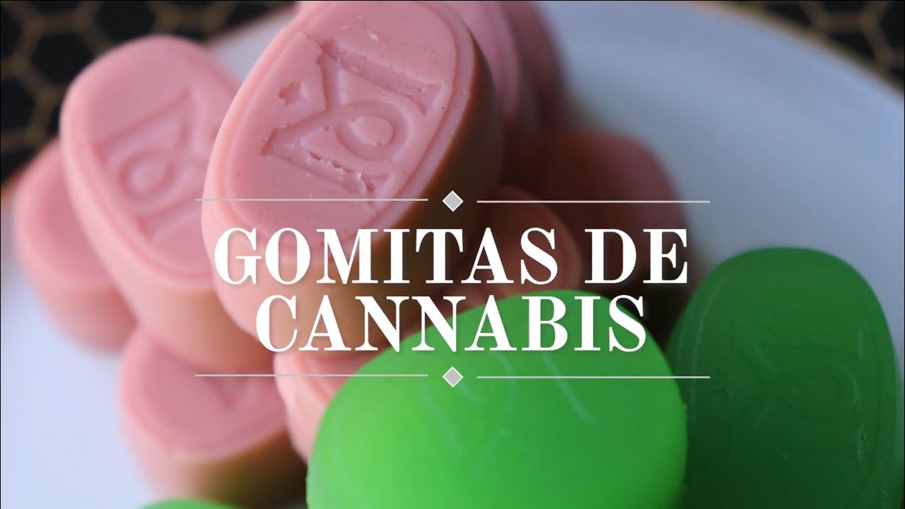 Como hacer GOMITAS de CANNABIS || RESUBIDO original 25 de diciembre 2022