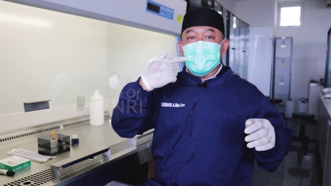 Praktikum Pewarnaan Kapsul