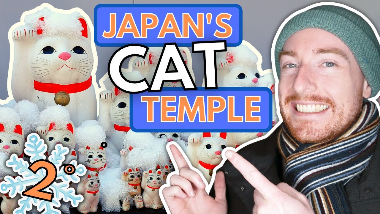 Tokyo's LUCKY CAT TEMPLE Covered in Snow! | Re-exploring Gōtokuji in Snowy Setagaya
