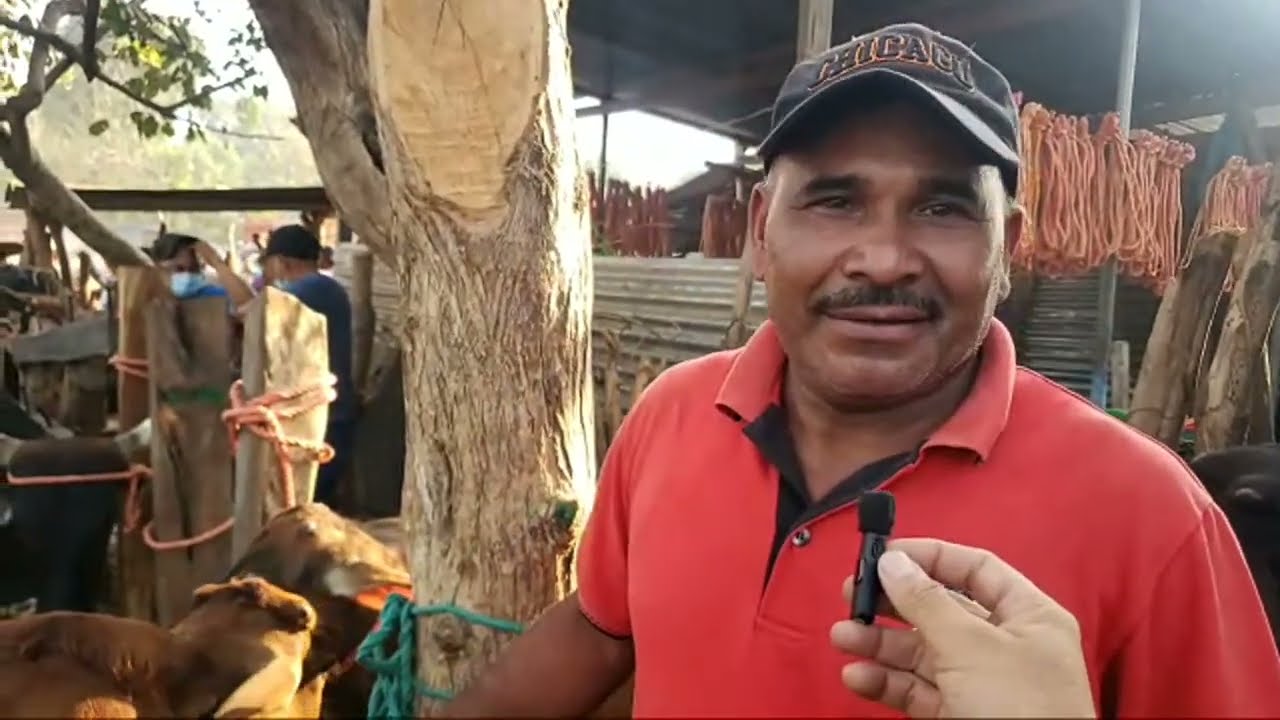 Martes de Tiangue en  La Ciudad de El Tránsito, San Miguel, El Salvador.
