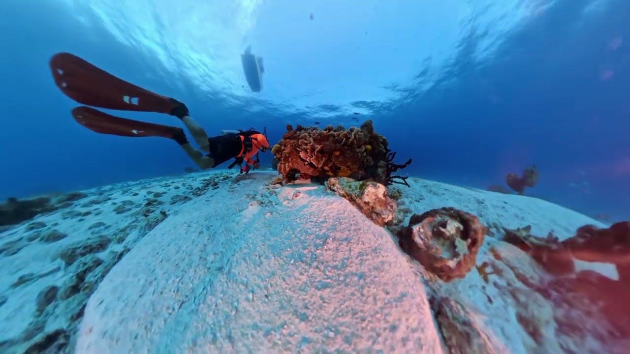 Drift Dive Cozumel Jan 26 2026