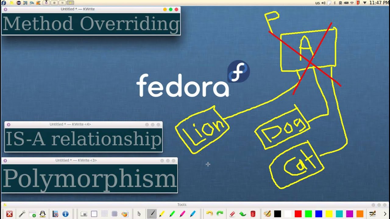 114 Java Method overriding Polymorphism تعدد الاشكال في الدوال جافا