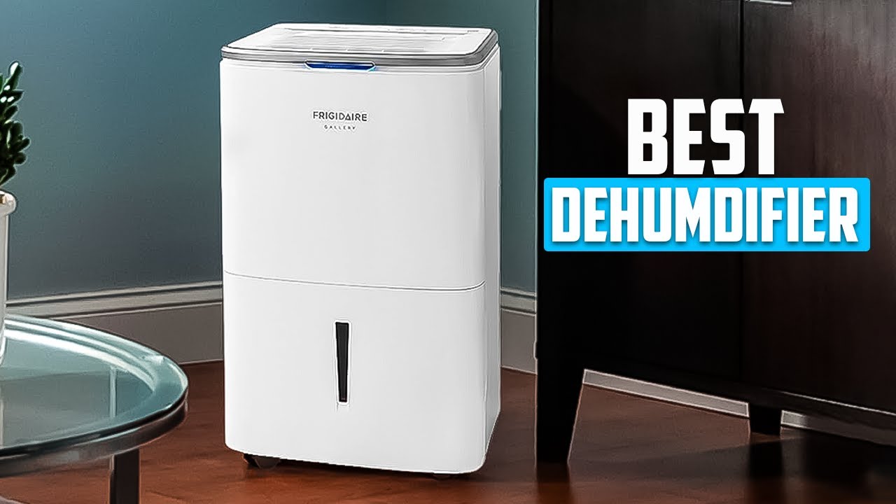 7 Best Dehumidifier You Should Buy in 2025