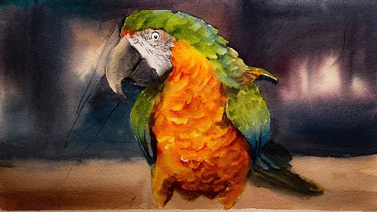 Watercolor Macaw Painting in Easiest Way Possible