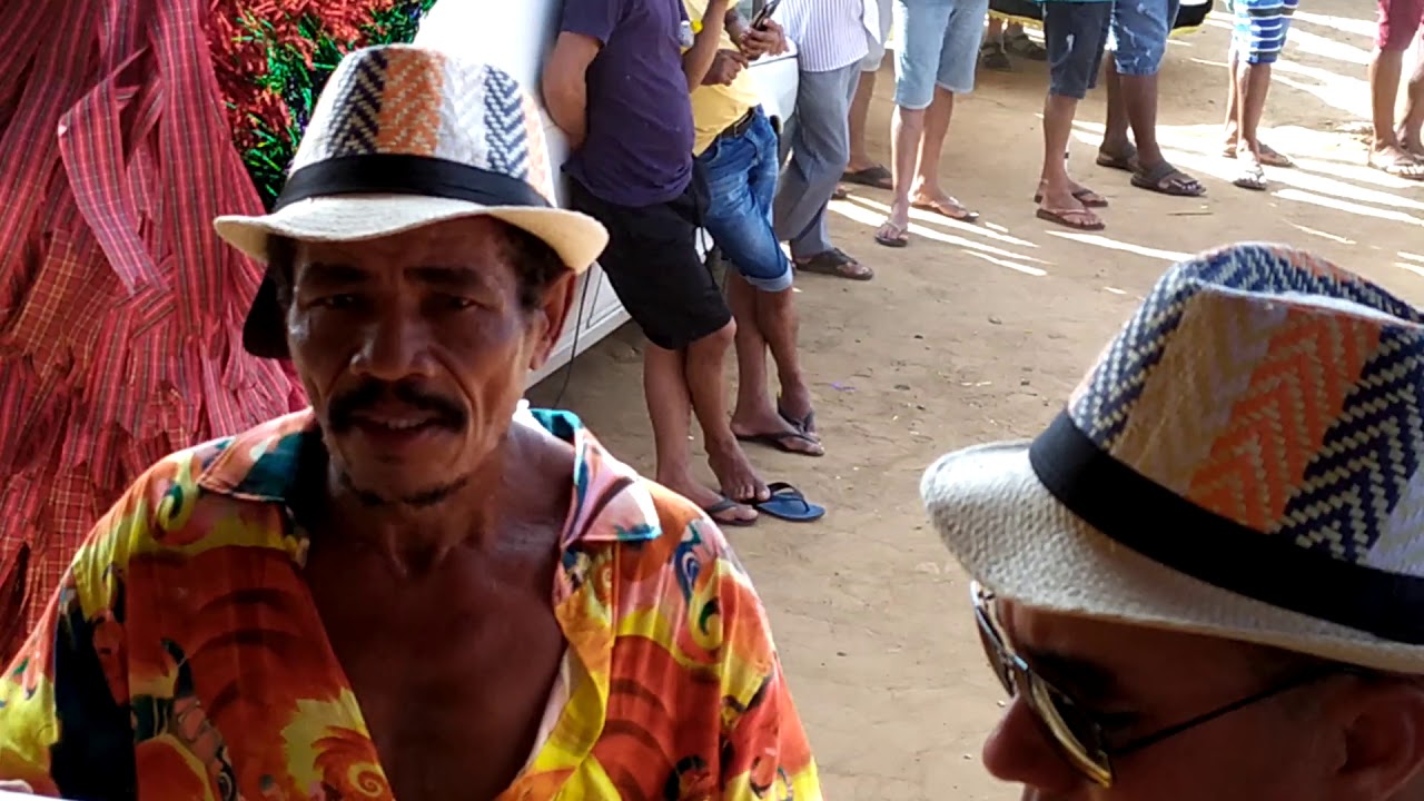 Chegada do LEÃO COROADO da chã de maltês parte1.