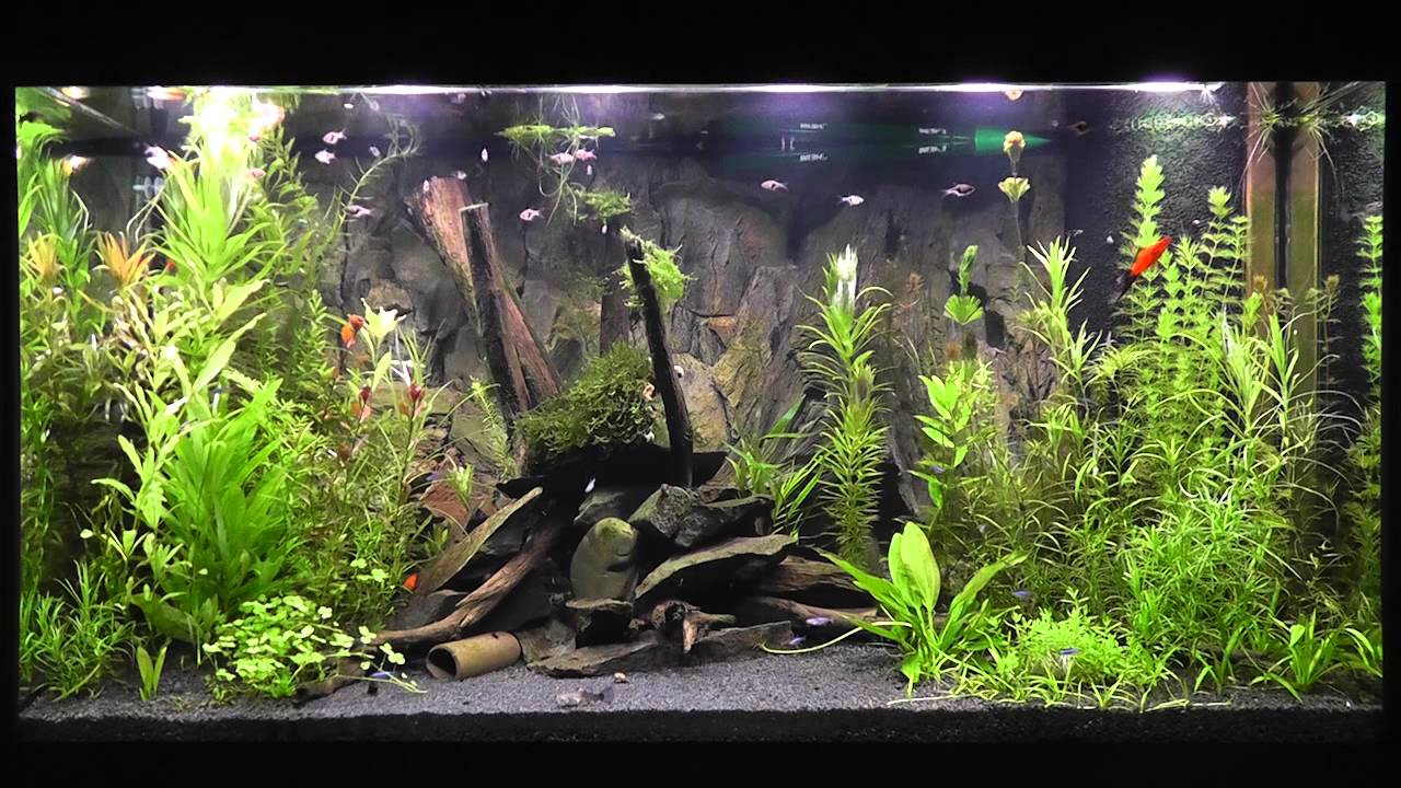 LED Aquarium Beleuchtung Daytime Cluster Control mit Tageslichtsimulator 