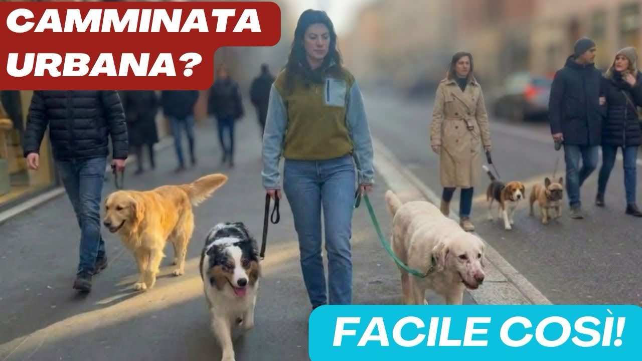 Passeggiata piena di stimoli? FAI QUESTE COSE e RISOLVI ORA ￼