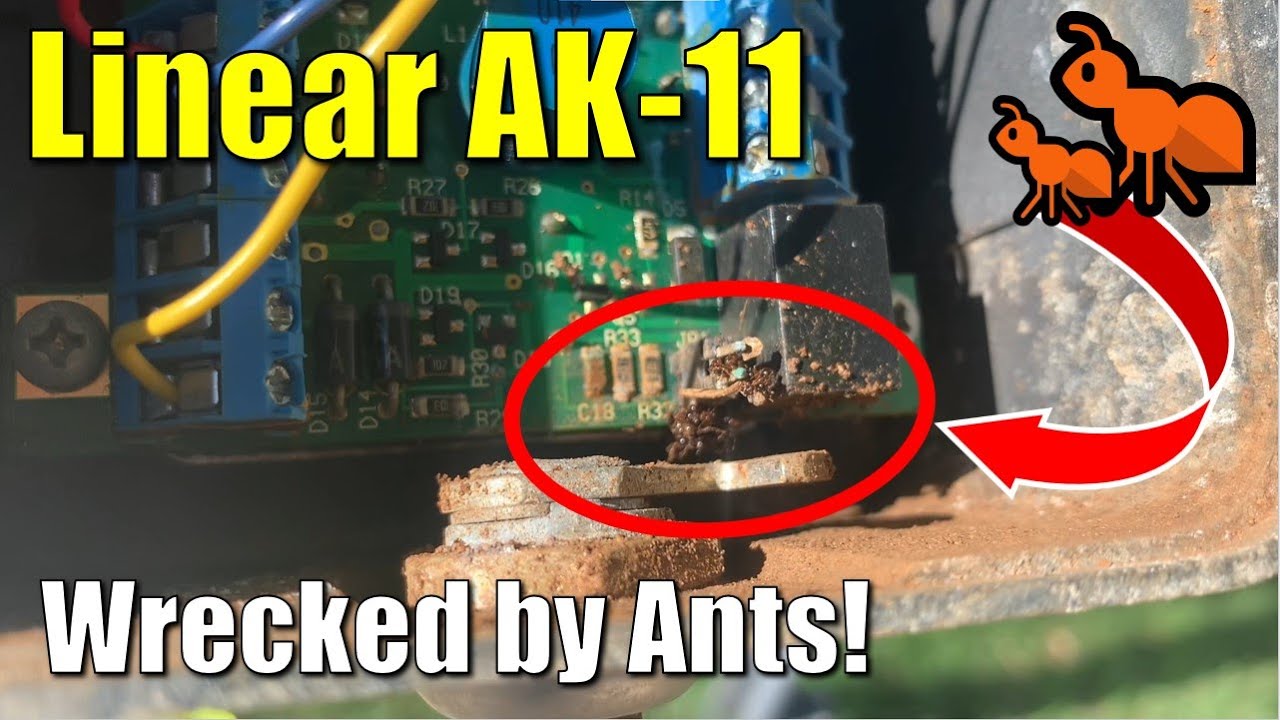 ✅ Linear AK-11 Keypad ● Wrecked by Ants!  How to Take Apart and Try to Fix