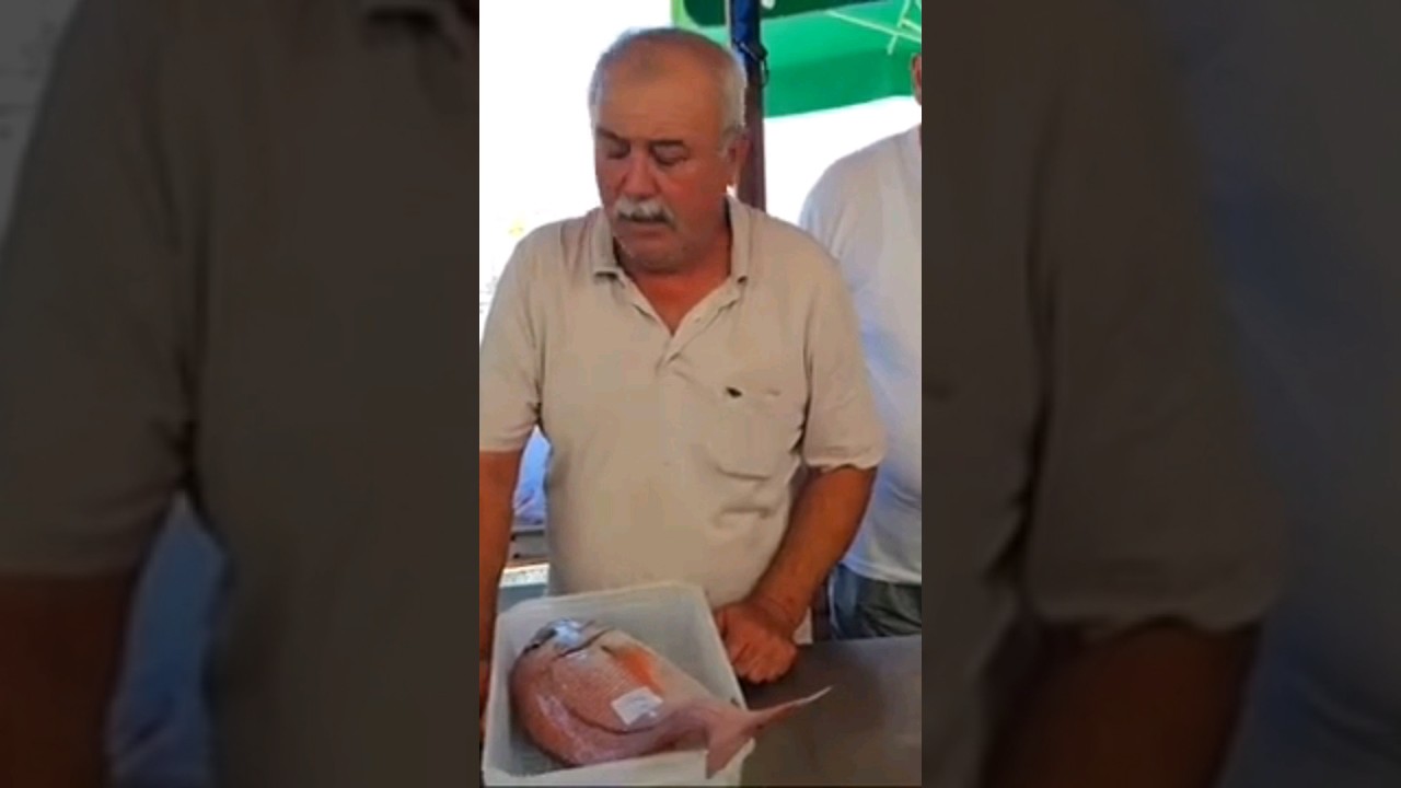 2.6 KG FANGRİ 5000 TL GE&Ccedil;Tİ. #fish #fishing #seafood#pqgruspagrus#fangri#seafishingvideos#