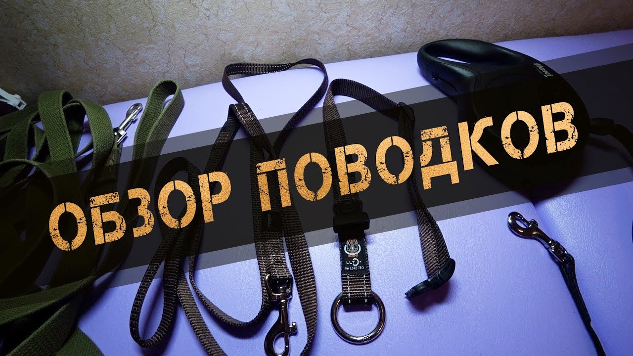 Лучший поводок?! Обзор поводков для собак: брезентовая стропа, rogz, flexi