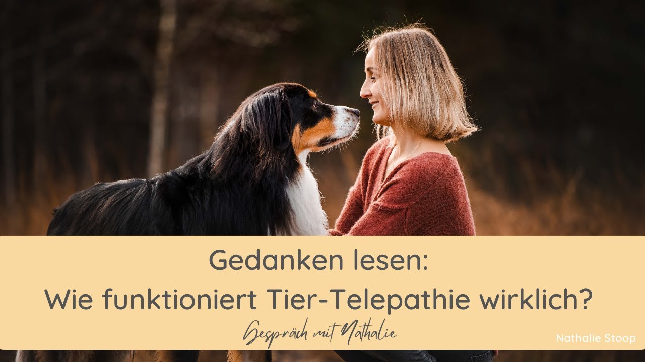 Das Geheimnis der Tierkommunikation: Telepathie leicht erkl&auml;rt I Gespr&auml;ch mit Nathalie I 10 Minuten