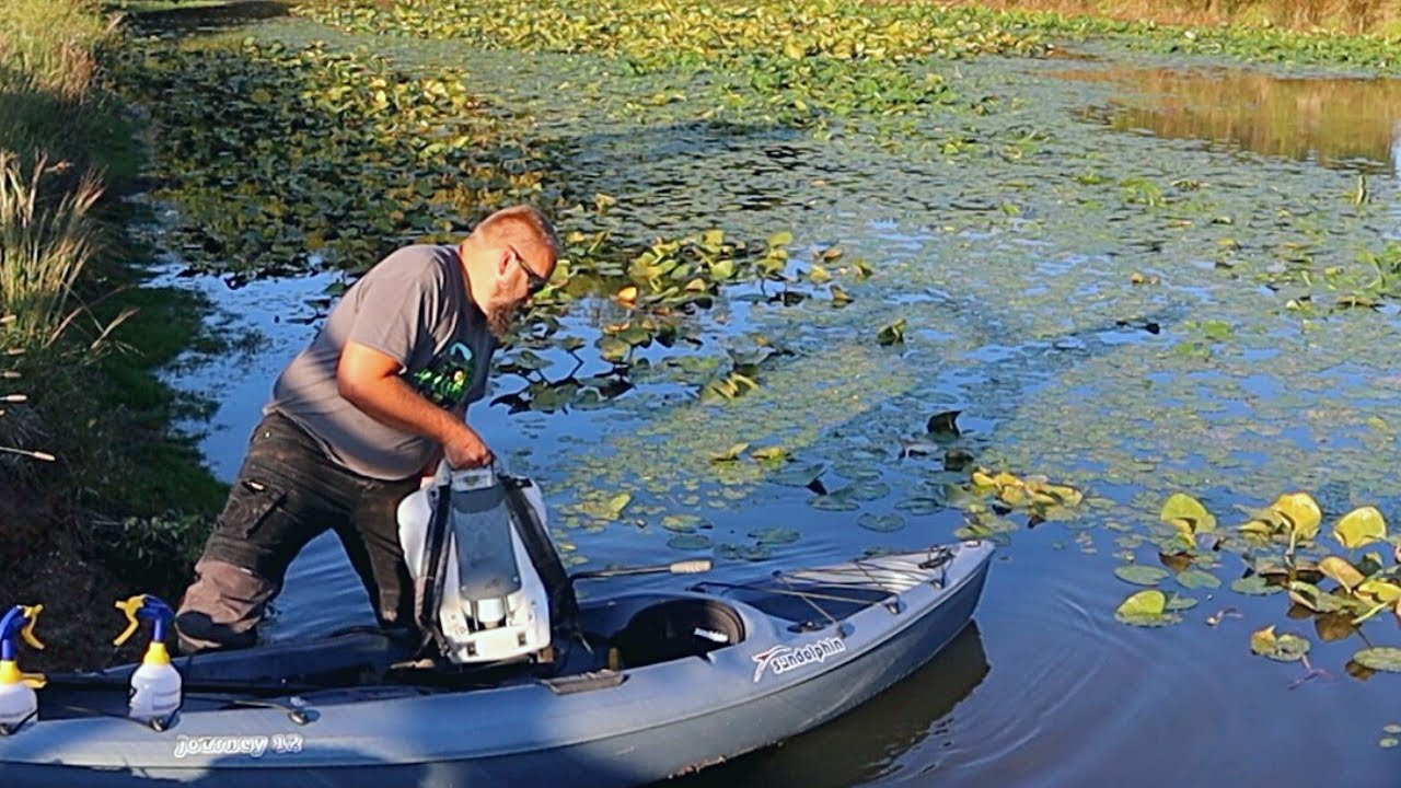 Pond Cleanup - Removing Lily Pads and Muck - Plus Adding Blue Dye
