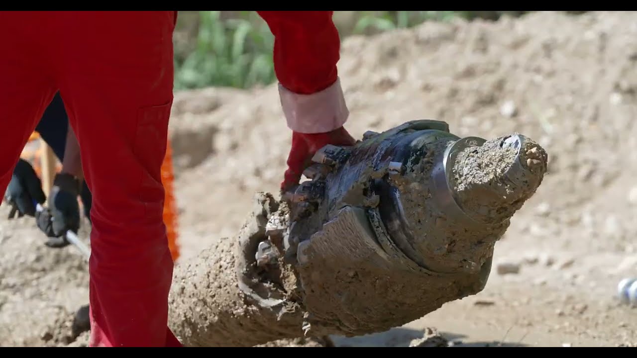 FORAGE DIRIGE A BEDARRIDES