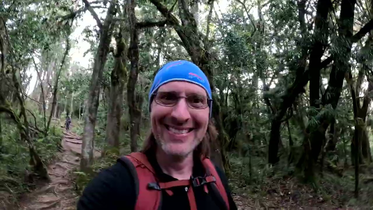 Mweka Camp to Mweka Gate