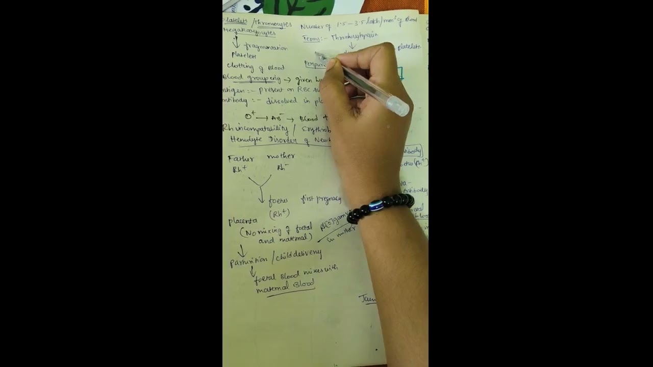 Neet class 11 biology body fluids and circulation one shot vedio