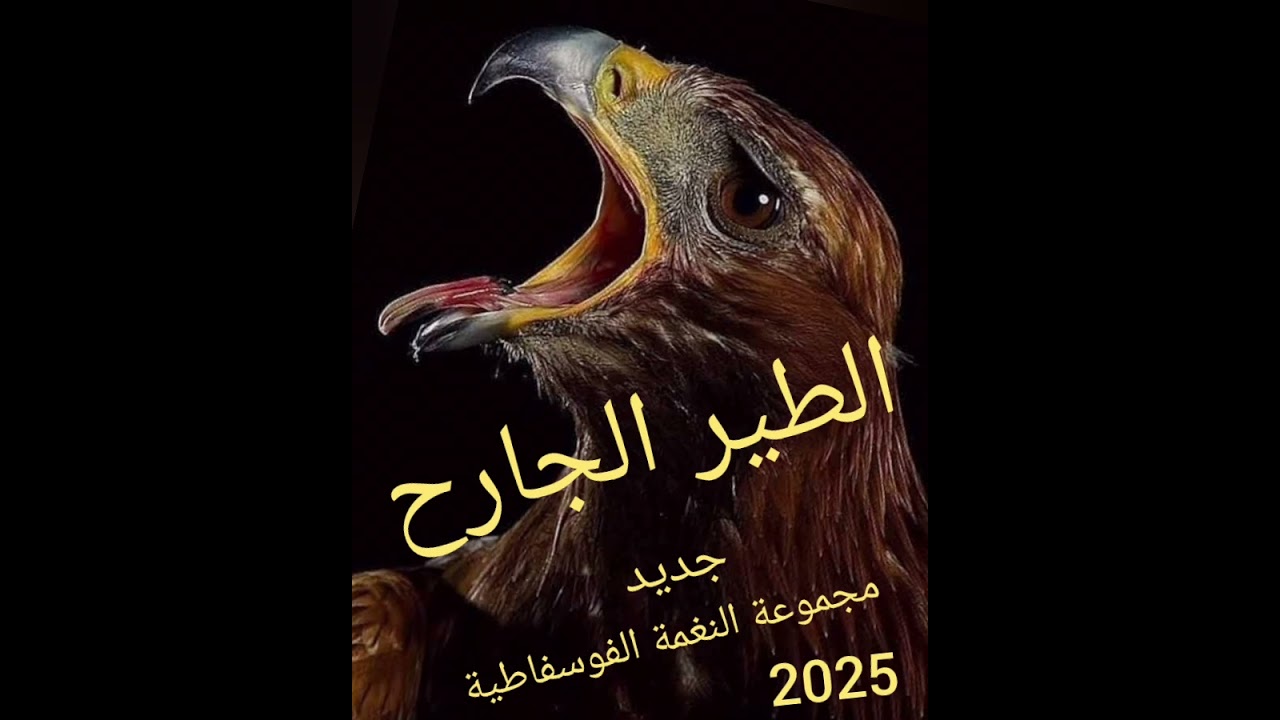 الطير الجارح  أداء مجموعة النغمة الفوسفاطية سجلت باستوديو الفنان جمال حناف.  بخريبكة ...