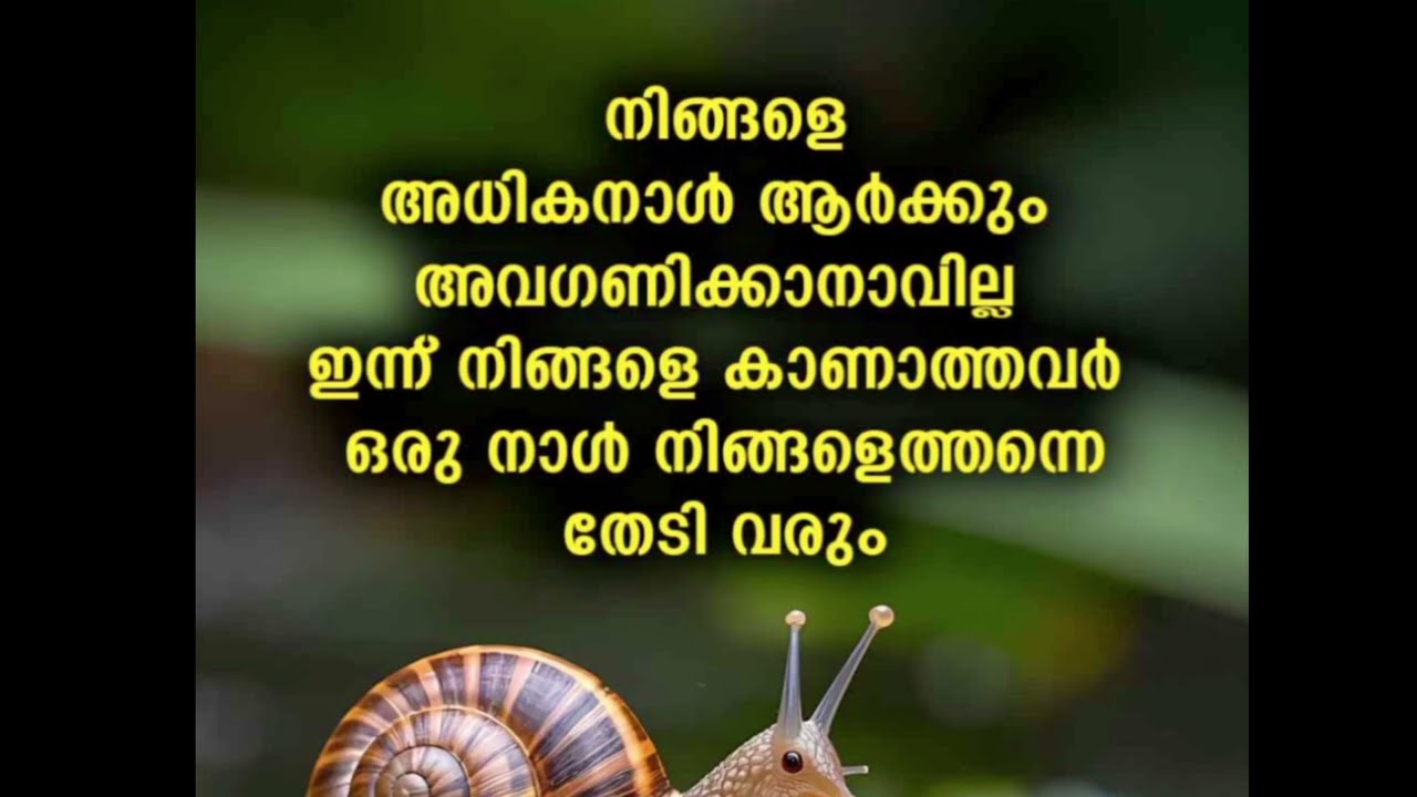 THIS VIDEO IS FOR YOU /Motivational awareness malayalam video 